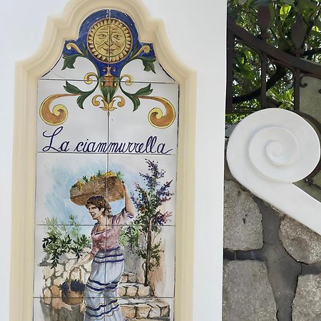 B&B La Ciammurrella Anacapri  Bagian luar foto
