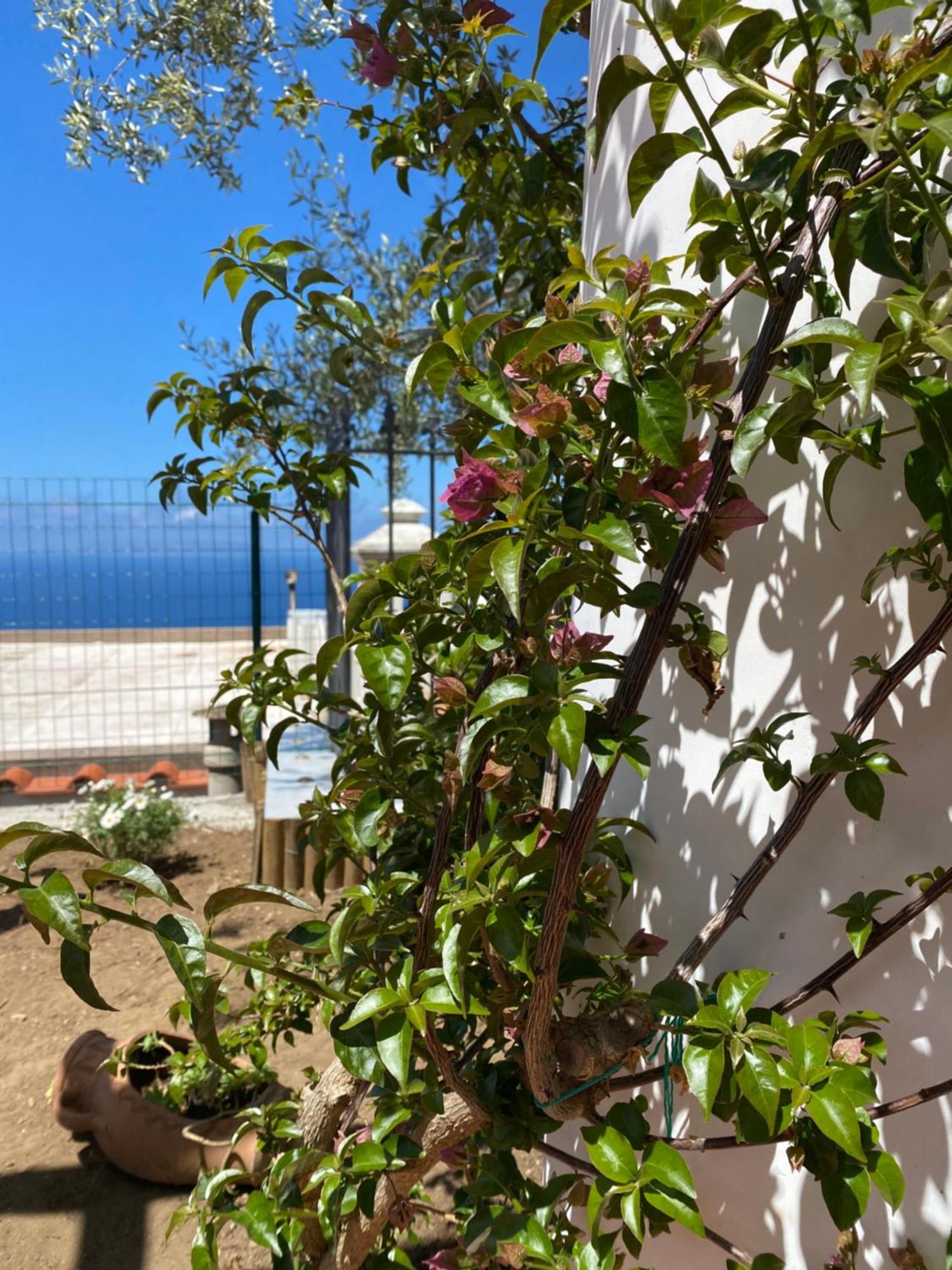 B&B La Ciammurrella Anacapri  Bagian luar foto