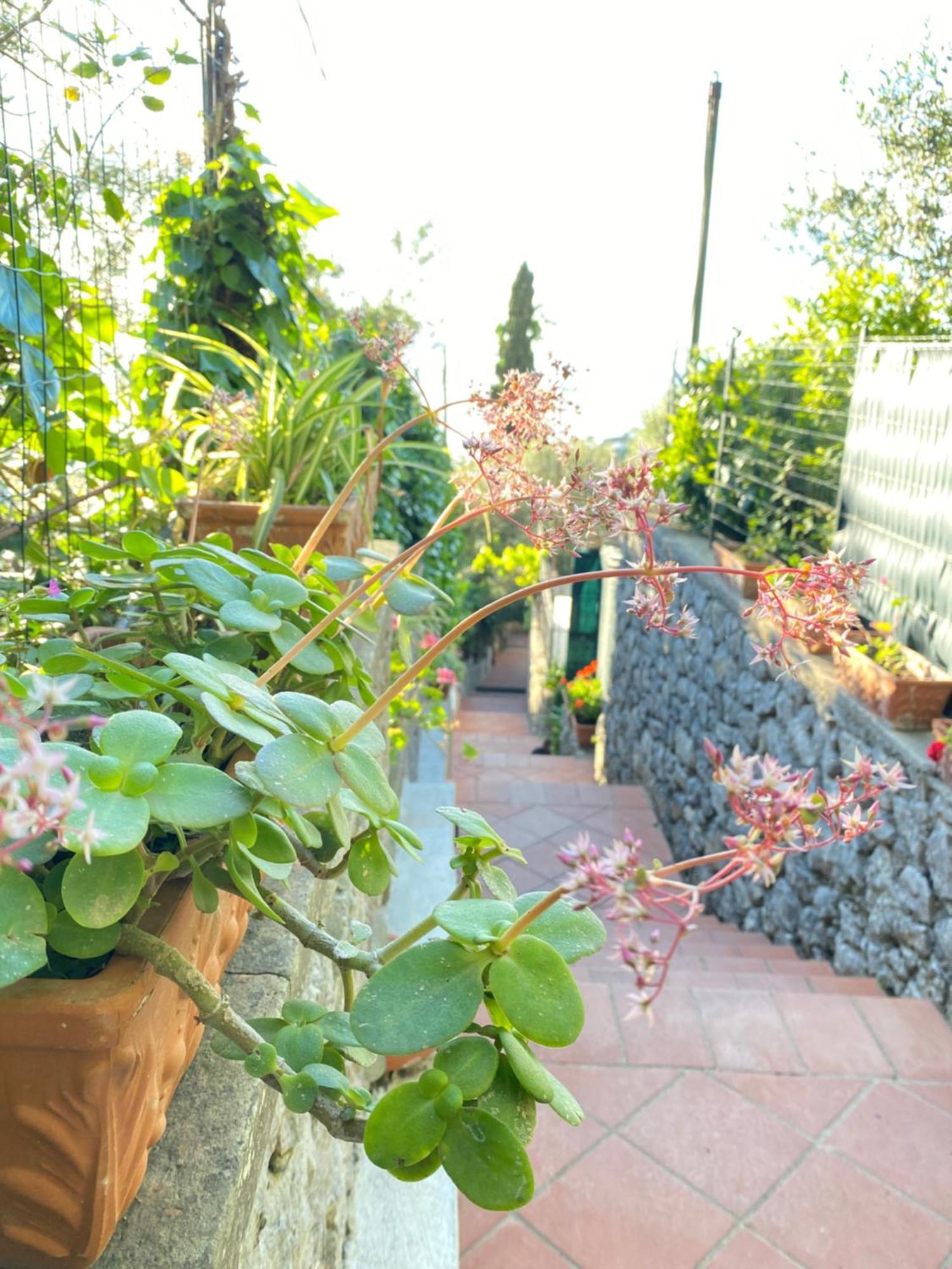 B&B La Ciammurrella Anacapri  Bagian luar foto